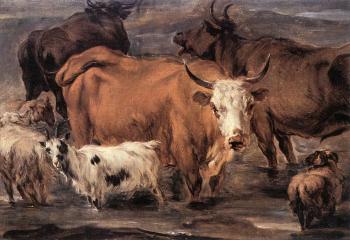 尼古拉 波桑 Animal Study 尼古拉 波桑 Animal Study